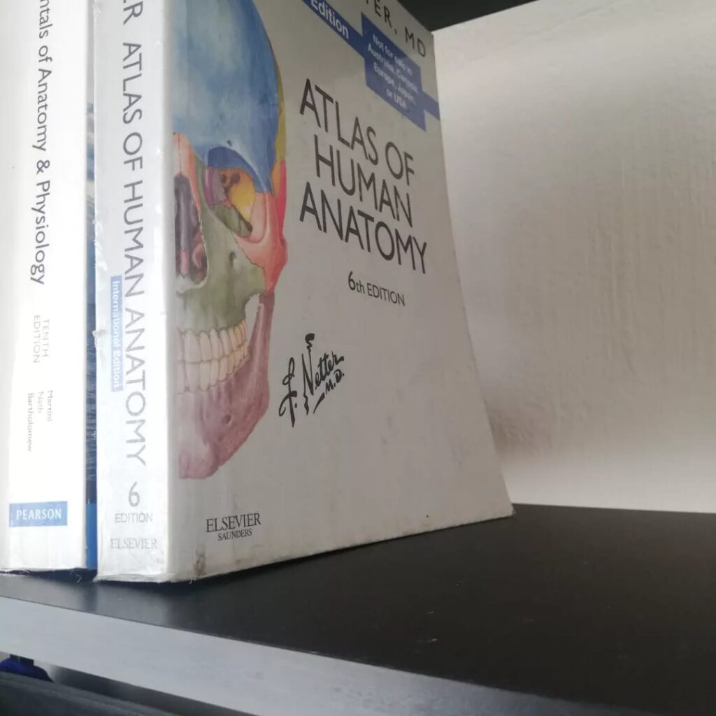 WhatsApp Image 2022-07-06 at 1.00.41 PM (1) WhatsApp Image 2022-07-06 at 1.00.41 PM (1)